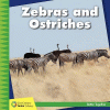 Zebras and ostriches