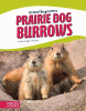 Prairie dog burrows