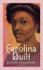 Carolina built : a novel