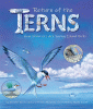 Return of the terns : how scientists are saving island birds