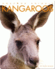 Kangaroos