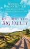 Return to the Big Valley : 3 romances from a unique Pennsylvania Amish community / Wanda E. Brunstetter, Jean Brunstetter & Richelle Brunstetter.