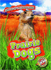 Animals of the grasslands. Prairie dogs