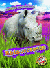 Rhinoceroses