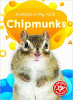 Chipmunks