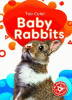 Baby rabbits