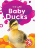 Baby ducks