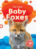 Baby foxes