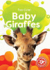 Baby giraffes