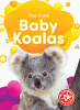 Baby koalas