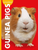Curious about guinea pigs