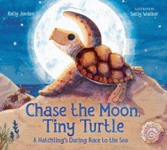 Chase the Moon, tiny turtle : a hatchling's daring race to the sea