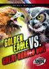 Golden Eagle vs. Great Horned owl