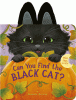 Can you find the black cat?