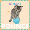 Kittens pounce