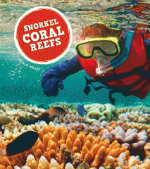 Snorkel coral reefs