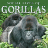 Social lives of gorillas