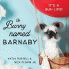 A bunny named Barnaby : it's a bun life