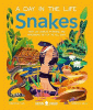 Snakes : what do cobras, pythons, and anacondas get up to all day?