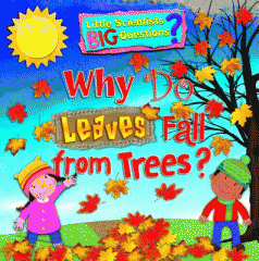 Why do leaves fall from trees?