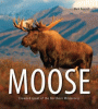 Moose: crowned giant of the northern wilderness
