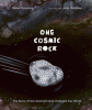 One cosmic rock : the story of the asteroid that changed our world