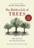 The hidden life of trees : what they feel, how they communicate : discoveries from a secret world