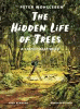 The hidden life of trees : a graphic adaptation