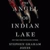 The Angel of Indian Lake [electronic resource]