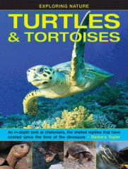Turtles & tortoises : an in-depth look at chelonians, the shelled reptiles that have existed since the time of dinosaurs