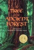 The tree in the ancient forest