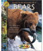 Bears