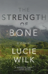 The strength of bone