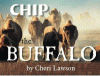 Chip the buffalo: based on a true story.