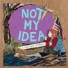Not my idea : a book about whiteness