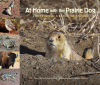 At home with the Prairie dog : the story of a Keystone species