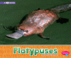 Platypuses : a 4D book