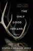 The only good Indians : a novel