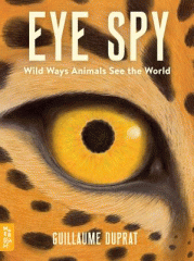 Eye spy : wild ways animals see the world