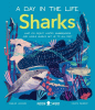 Sharks : what do great whites, hammerheads, and whale sharks get up to all day?