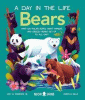 Bears : what do polar bears, giant pandas, and grizzly bears get up to all day?