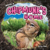 Inside a chipmunk's home