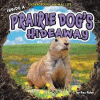 Inside a prairie dog's hideaway