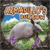 Inside an armadillo's burrow