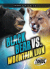 Black bear vs. mountain lion