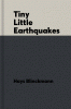 Tiny Little Earthquakes