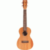 Cordoba concert ukulele [kit].