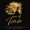 The Tina Turner musical : original cast recording.